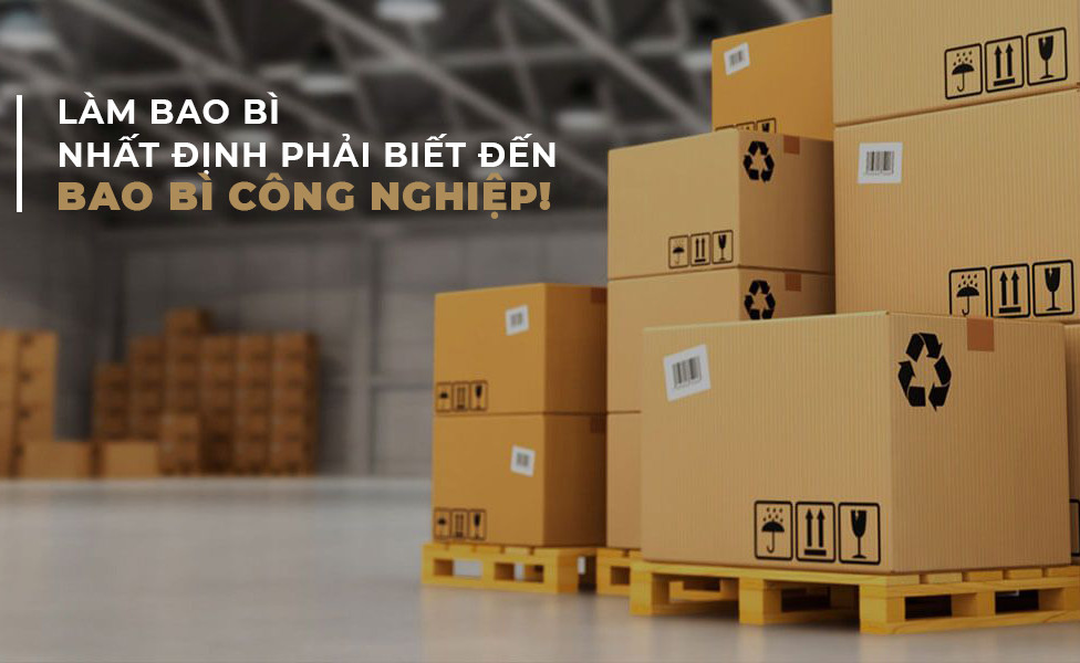 Sức hút mạnh mẽ từ thị trường bao bì